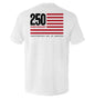America 250 Years Anniversary Flag Shield Republic