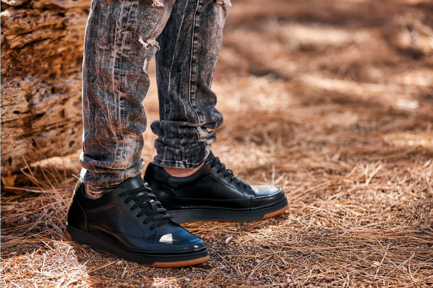 CALTO - Y7931 - 2.6 Inches Taller (Noir/Black & Gum Sole) - Elevated Leather Micro-Perforated Sneakers Tallmenshoes.com