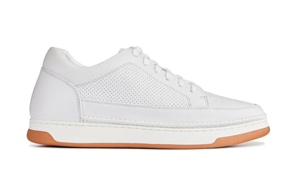 CALTO - Y7932 - 2.6 Inches Taller (White/Off-White & Gum Sole) - Elevated Micro-Perforated Leather Sneakers Tallmenshoes.com