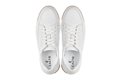 CALTO - Y7932 - 2.6 Inches Taller (White/Off-White & Gum Sole) - Elevated Micro-Perforated Leather Sneakers Tallmenshoes.com