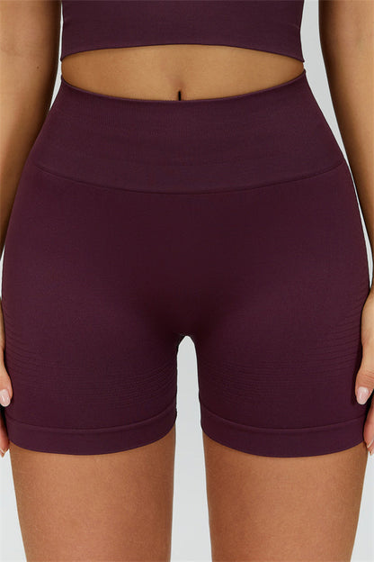 The Delight Jacket Shorts 2-Piece Set Fitglutes Activewear Gymwear Sportswear & Workout Clothes