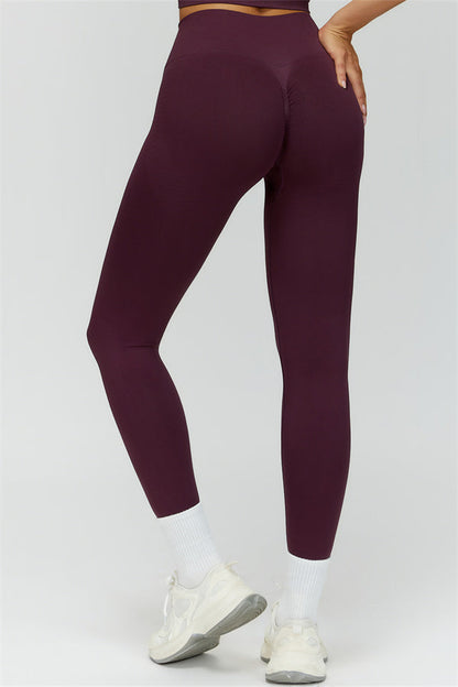 The Delight Jacket Sports Bra Leggings 3-Piece Set Fitglutes Activewear Gymwear Sportswear & Workout Clothes