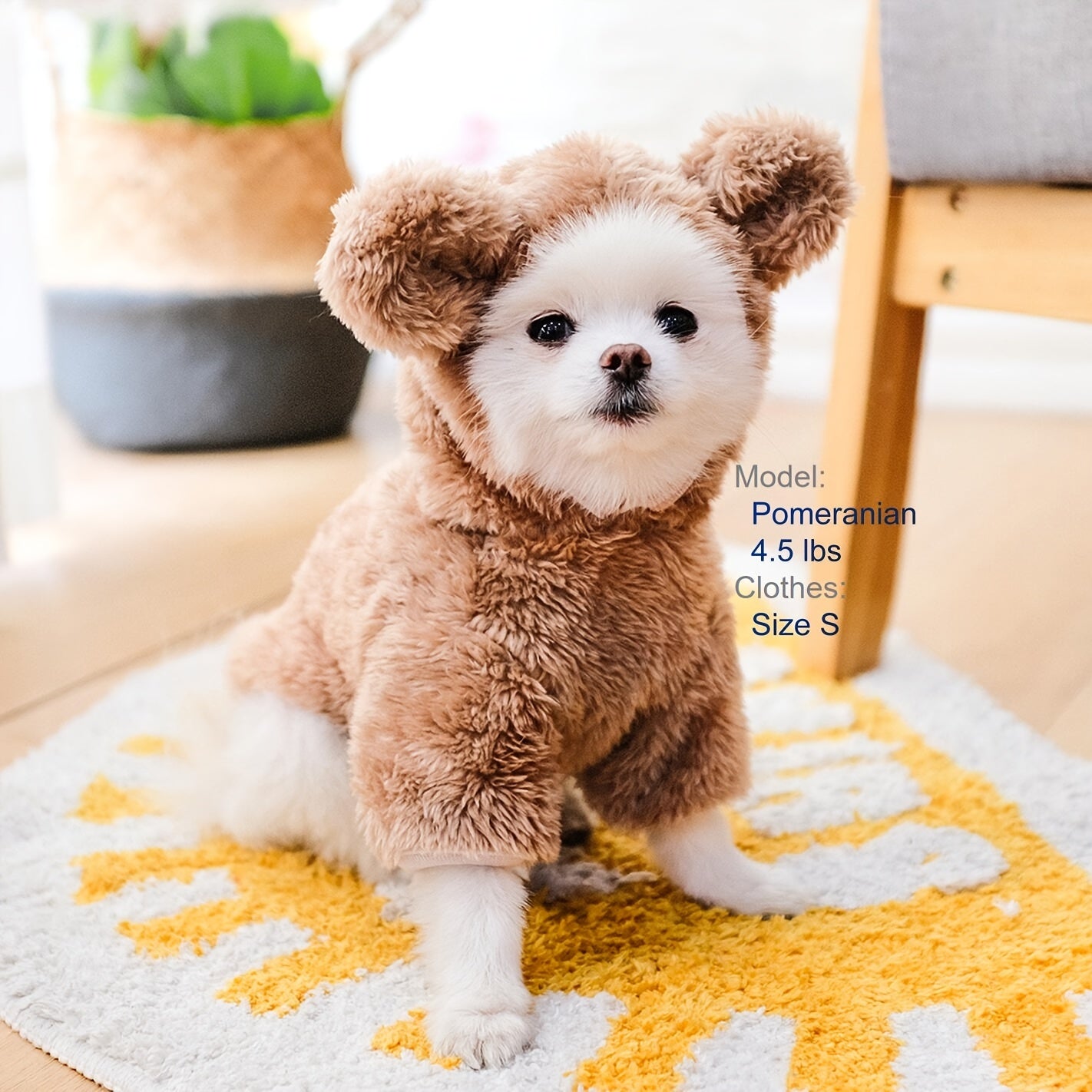 Pet Warm Teddy Bear Costume, Dog & Cat Pet Costumes NovaCart