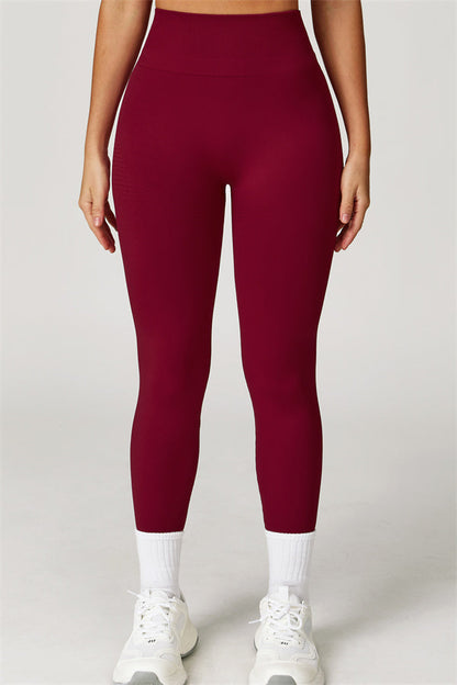 The Delight Jacket Sports Bra Leggings 3-Piece Set Fitglutes Activewear Gymwear Sportswear & Workout Clothes