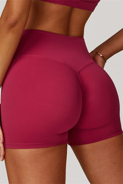 The Eloise Jacket Sports Bra Shorts 3-Piece Set Fitglutes Activewear Gymwear Sportswear & Workout Clothes