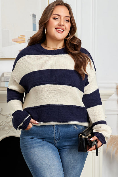Blue Stripe Color Block PLus Size Drop Shoulder Sweater Garden Naked Curves
