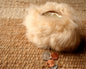 Alpaca Fur Coin Purse Purely Alpaca