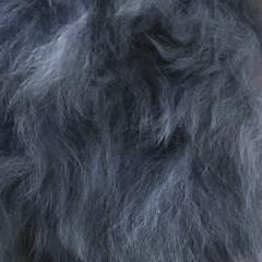 Alpaca Fuzzball Keychain Purely Alpaca