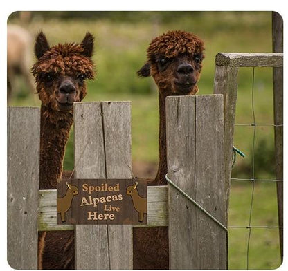 Alpaca Home Decor Wooden Plaque Purely Alpaca