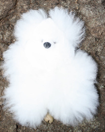 Alpaca Pocket Teddy Bears Purely Alpaca