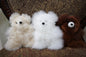 Alpaca Pocket Teddy Bears Purely Alpaca