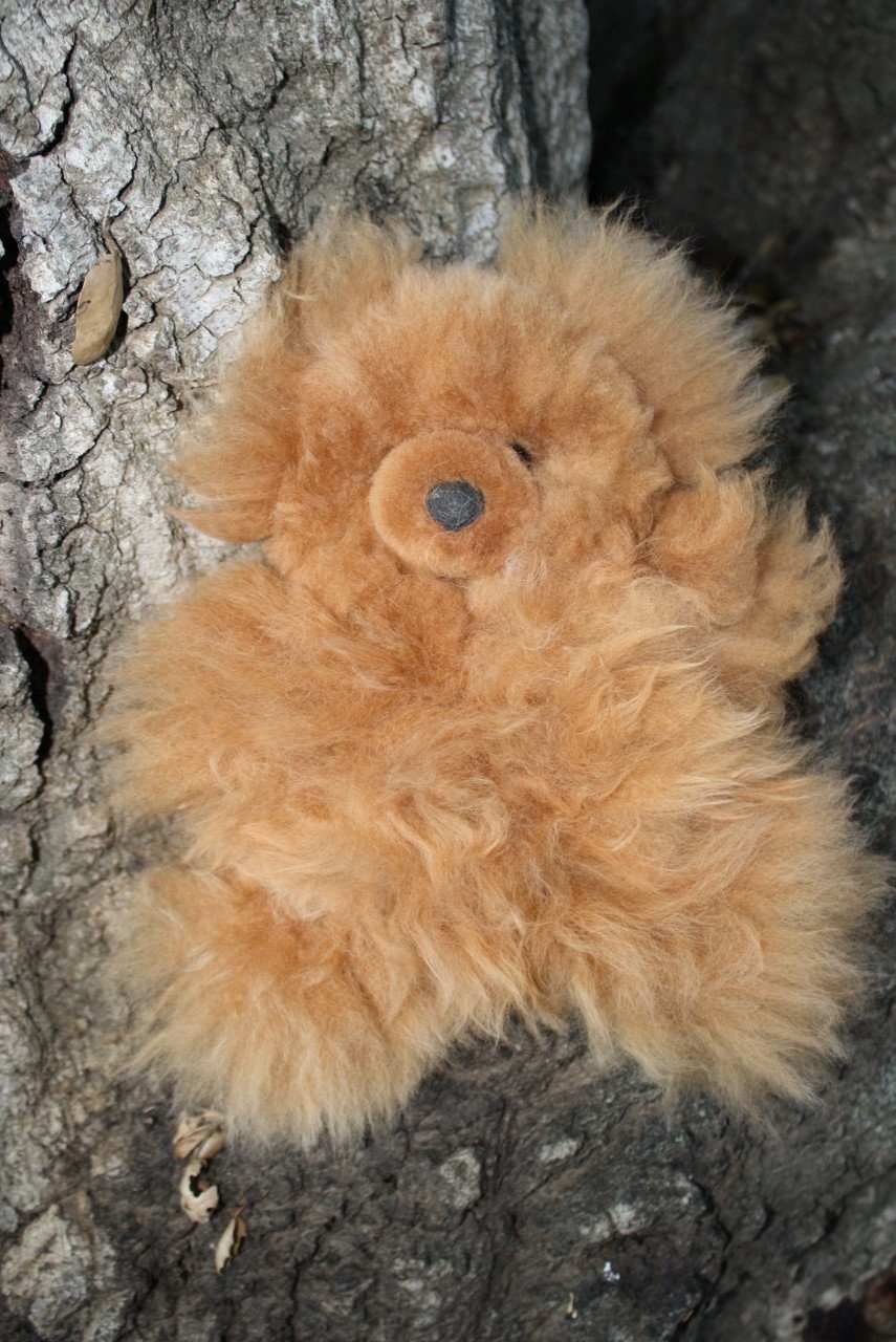 Alpaca Pocket Teddy Bears Purely Alpaca