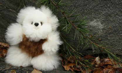 Alpaca Pocket Teddy Bears Purely Alpaca
