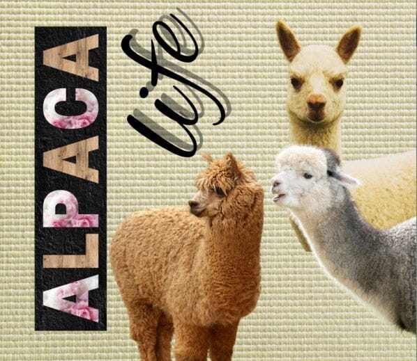 Alpaca Drink Tumbler Purely Alpaca