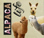 Alpaca Drink Tumbler Purely Alpaca