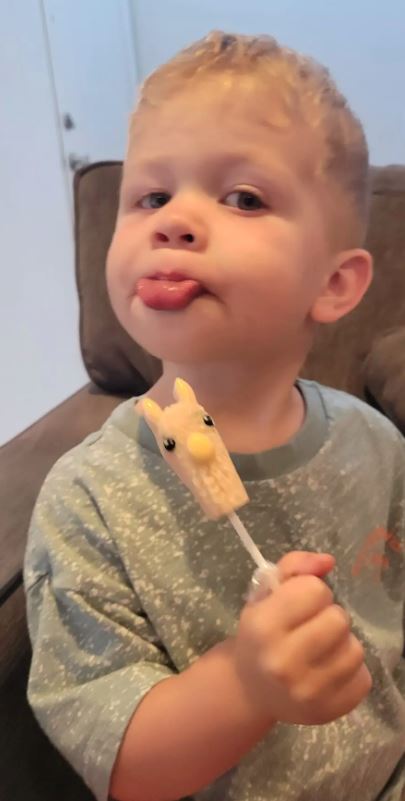 Alpaca Watching Lollipops Purely Alpaca