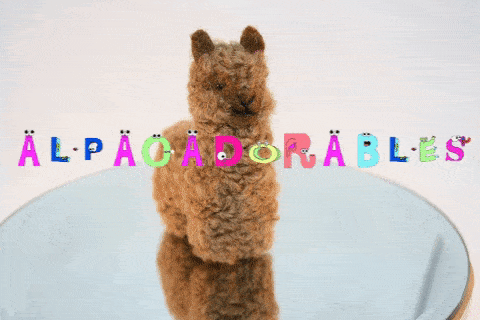 Alpacadorable Hand Made Baby Alpaca Ornaments Purely Alpaca