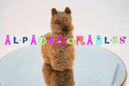 Alpacadorable Hand Made Baby Alpaca Ornaments Purely Alpaca