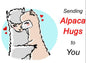 AlpacaGrams Alpaca Greeting Cards Purely Alpaca