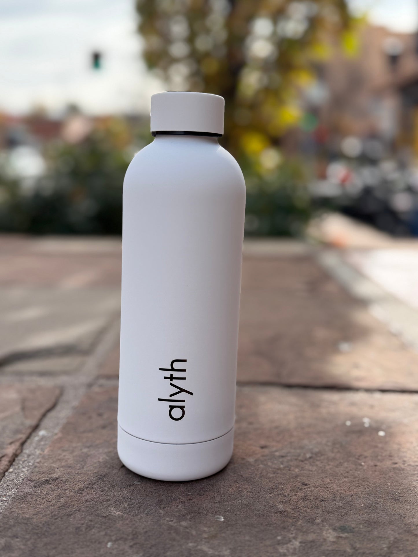 alyth water bottle 16oz Alyth Active