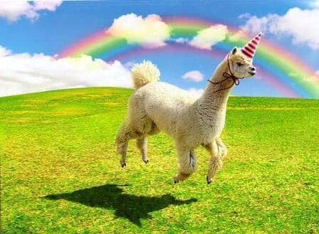 Avanti Alpaca Greeting Card - Alpaca Unicorn - Birthday Purely Alpaca