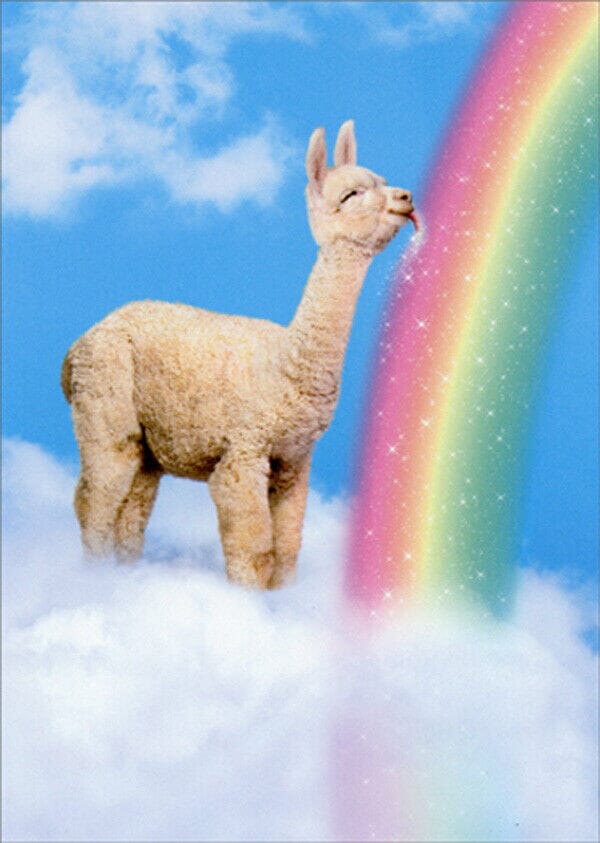 Avanti Alpaca Greeting Card - Wishing You Sunshine and Rainbows Purely Alpaca