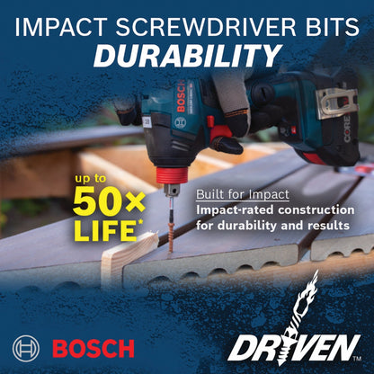 BOSCH ITDT20102 2 pc. Driven 1 In. Impact Torx® #20 Insert Bits VM Hardware
