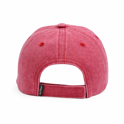 T-Rex | Kid's Hat Dad Brand Apparel
