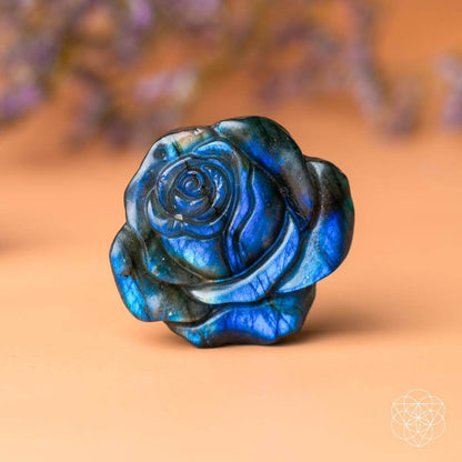 Beautifully Unique - Blossoming Rose of Singularity Conscious Items