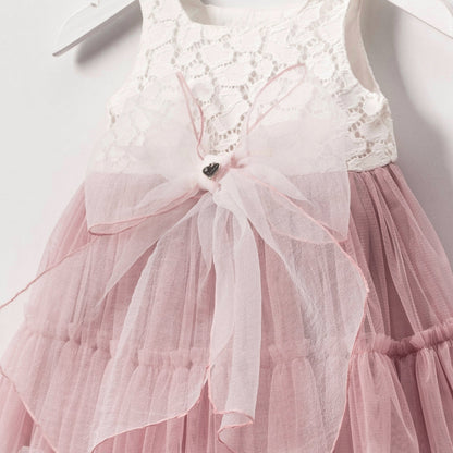 Blush Lace & Tulle Baby Dress Honey and Hive