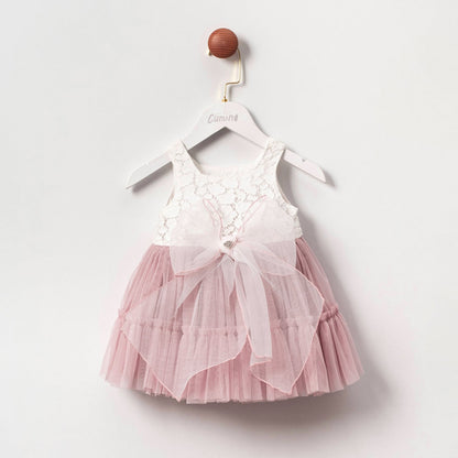 Blush Lace & Tulle Baby Dress Honey and Hive