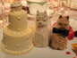 Bride and Groom Alpacadorable Hand Made Baby Alpaca Ornaments Alpaca Wedding Cake Topper Purely Alpaca