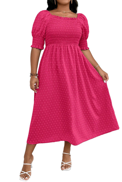 Wisteria Swiss Dot Smocked Frilled Neckline Short Sleeve Plus Size Dress Garden Naked Curves