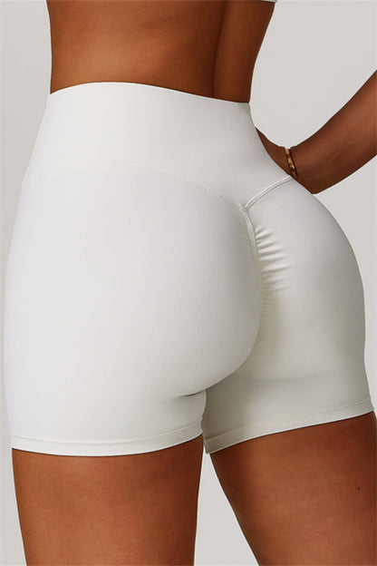 The Eloise Sports Bra Shorts 2-Piece Set Fitglutes Activewear Gymwear Sportswear & Workout Clothes