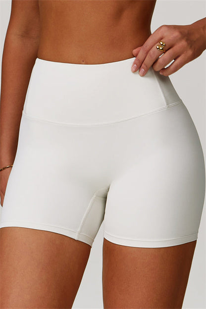 The Eloise Sports Bra Shorts 2-Piece Set Fitglutes Activewear Gymwear Sportswear & Workout Clothes