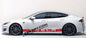 Side Skirt Stripe Decals (2-Pack) | 3 Styles | Multiple Colors | Scratch Protection Tesery Official Store