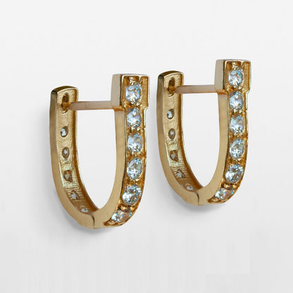 Colton - Diamond Cut Horseshoe Coin Earring in Gold Urban-Equestrian