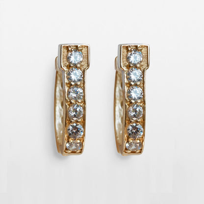 Colton - Diamond Cut Horseshoe Coin Earring in Gold Urban-Equestrian