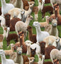 Cute Alpaca Fabric Purely Alpaca