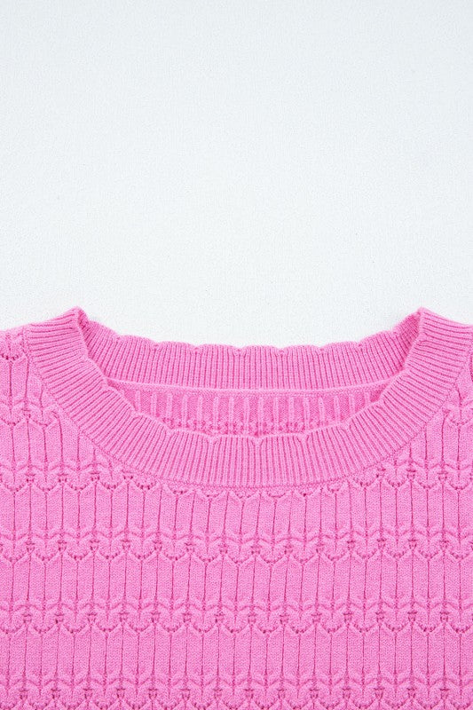 Solid Knit Ribbed Cuff Crewneck Sweater Shop Style & More | Fresh Looks, Everyday Deals & Free Shipping
