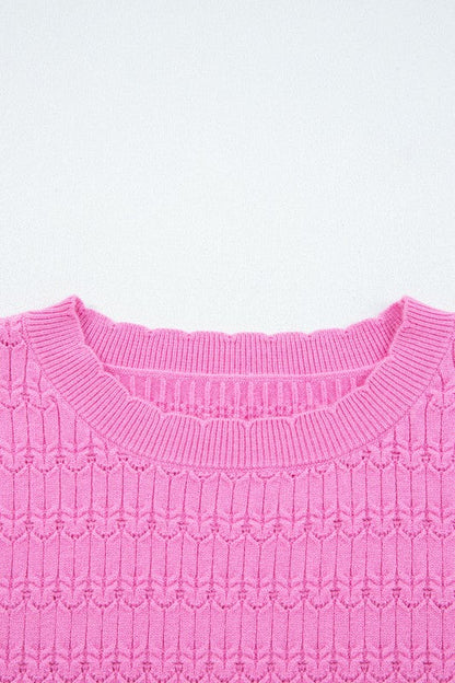Solid Knit Ribbed Cuff Crewneck Sweater Shop Style & More | Fresh Looks, Everyday Deals & Free Shipping