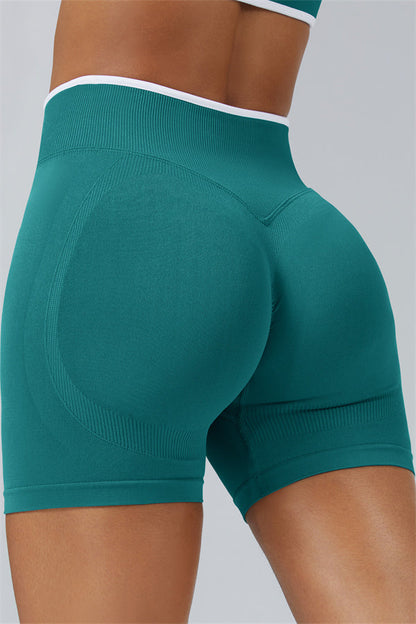 The Elevate Shorts Fitglutes Activewear Gymwear Sportswear & Workout Clothes