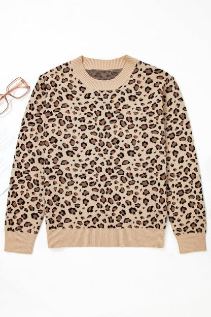 Leopard Contrast Trim Dolman Sleeve Sweater Shop Style & More | Fresh Looks, Everyday Deals & Free Shipping