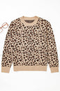Leopard Contrast Trim Dolman Sleeve Sweater Shop Style & More | Fresh Looks, Everyday Deals & Free Shipping
