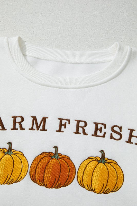 FARM FRESH PUMPKINS Thanksgiving Sweater Shop Style & More | Fresh Looks, Everyday Deals & Free Shipping