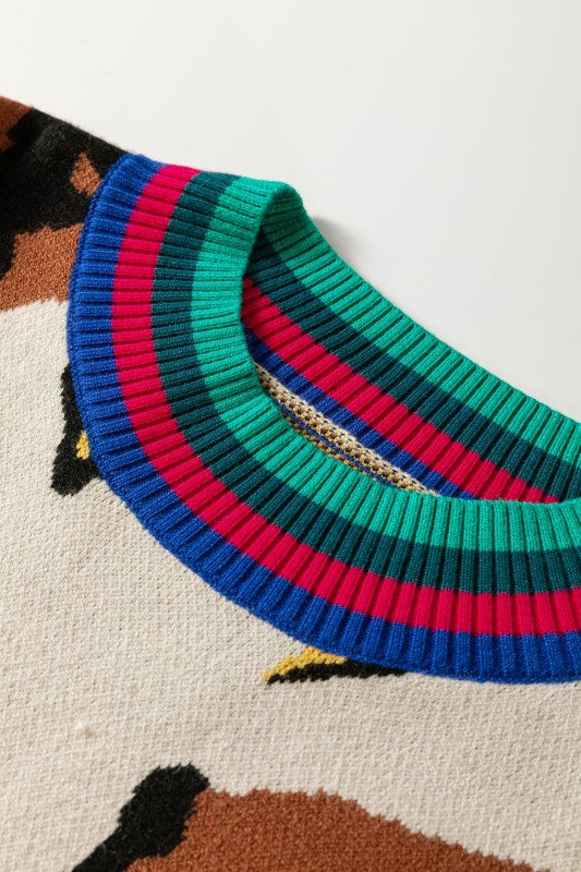 Colorblock Stripe Contrast Ribbed Knit Sweater Shop Style & More | Fresh Looks, Everyday Deals & Free Shipping