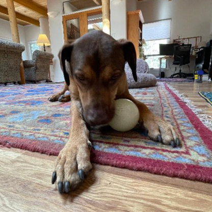 Dog Treat Dispensers Farm To Pet