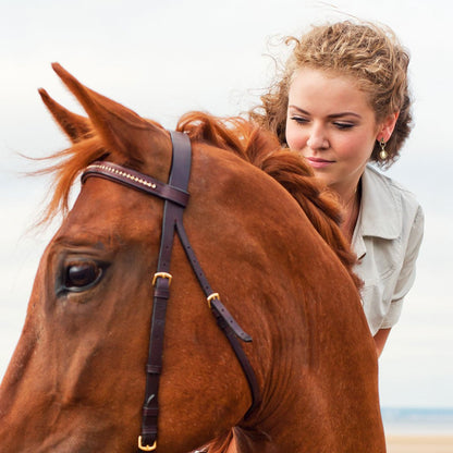 Dorado - Horseshoe Coin Earring in Gold Urban-Equestrian
