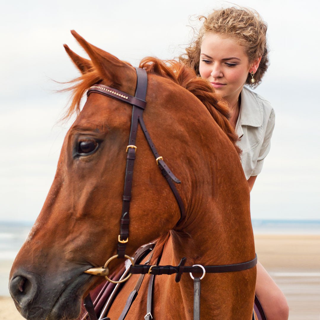 Dorado - Horseshoe Coin Earring in Silver Urban-Equestrian