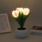 Tulip Lamp - LED Replica Tulip Table Lamp with Flower Vase for Desktop Decoration. Suitable for home, living room, desktop decoration, holiday gifts, atmosphere decoration lamps. Powered by USB New Era Fashion LLc
